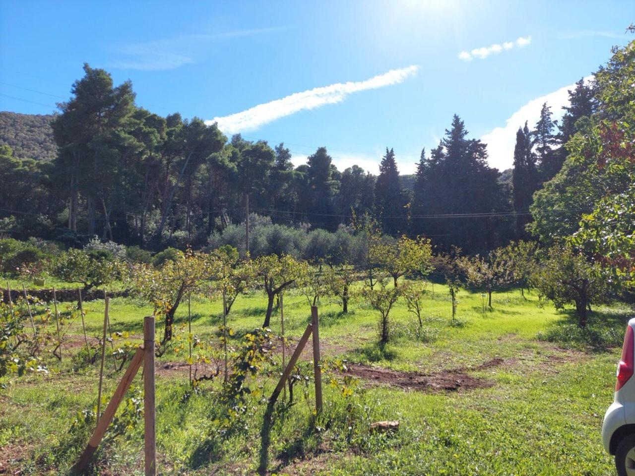 Agriturismo Paradisa Rio nell'Elba Екстер'єр фото