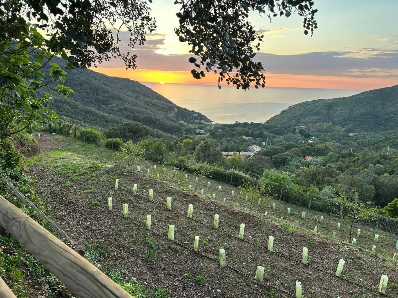 Agriturismo Paradisa Rio nell'Elba Екстер'єр фото